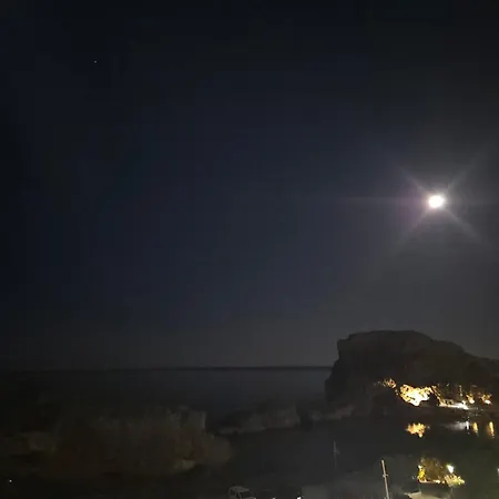 St Paul's Chrysanthi Daire *